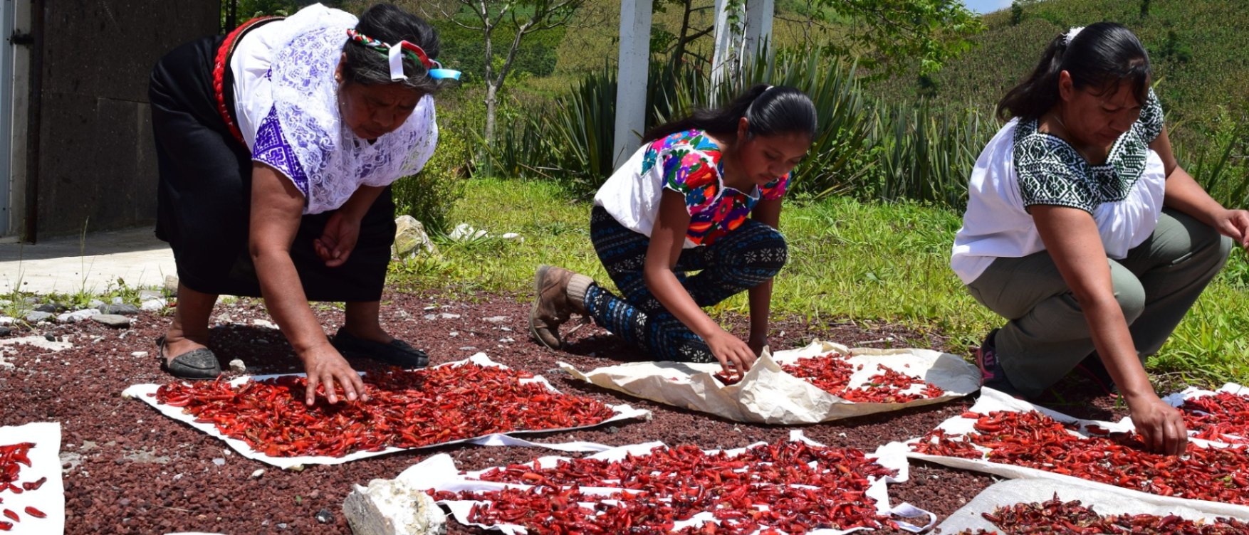 Lanzamiento Regional del Ano Internacional de la Agricultora