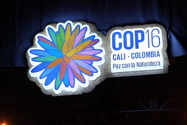 cop16