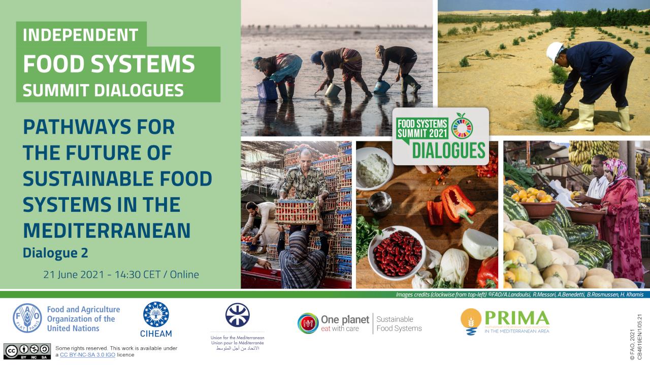 Pathways for the Future of Sustainable Food Systems in the Mediterranean