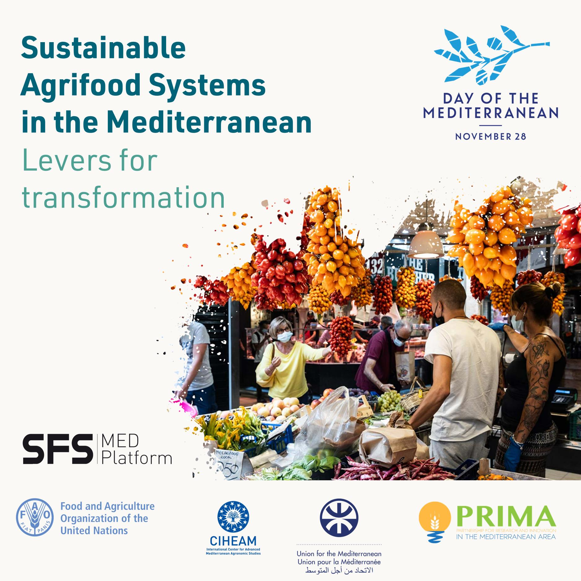 A digital journey into Mediterranean agrifood systems