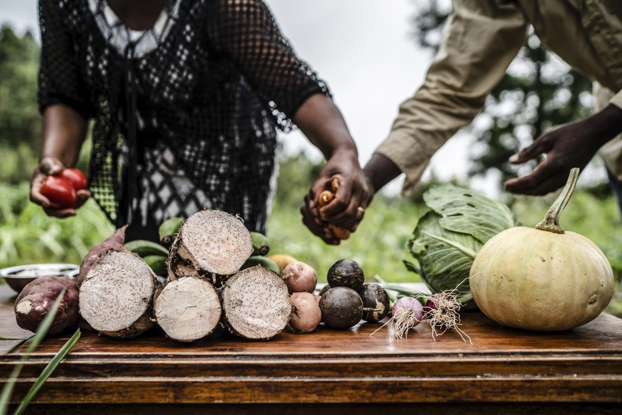 Life Cycle Assessment for sustainable food systems