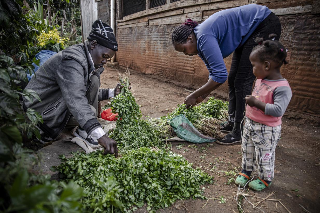 New ways to improve Kenyan Food Systems