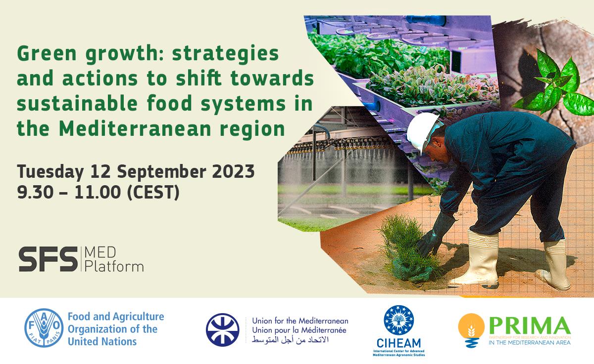 SFS-MED Webinar 6: Green growth: Strategies and Actions to shift towards Sustainable Agrifood Systems in the Mediterranean Region