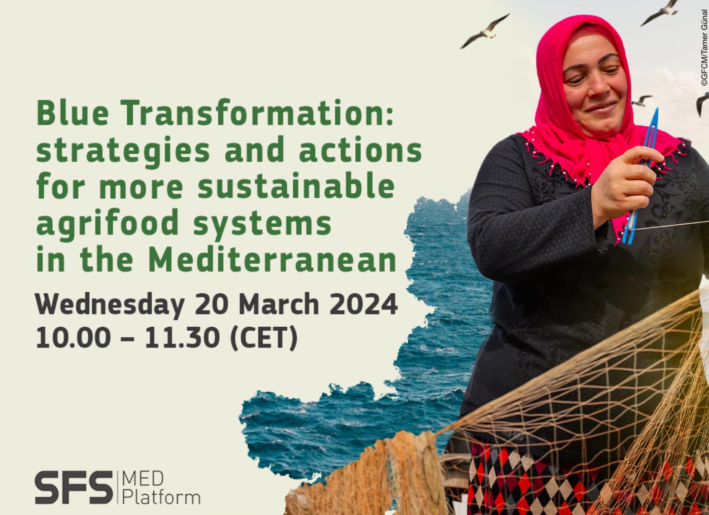 Blue Transformation: strategies and actions for sustainable agrifood systems in the Mediterranean