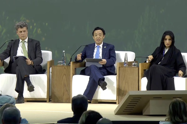dg-at-cop28