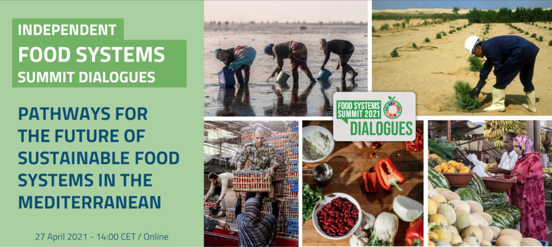 Pathways for the Future of Sustainable Food Systems in the Mediterranean