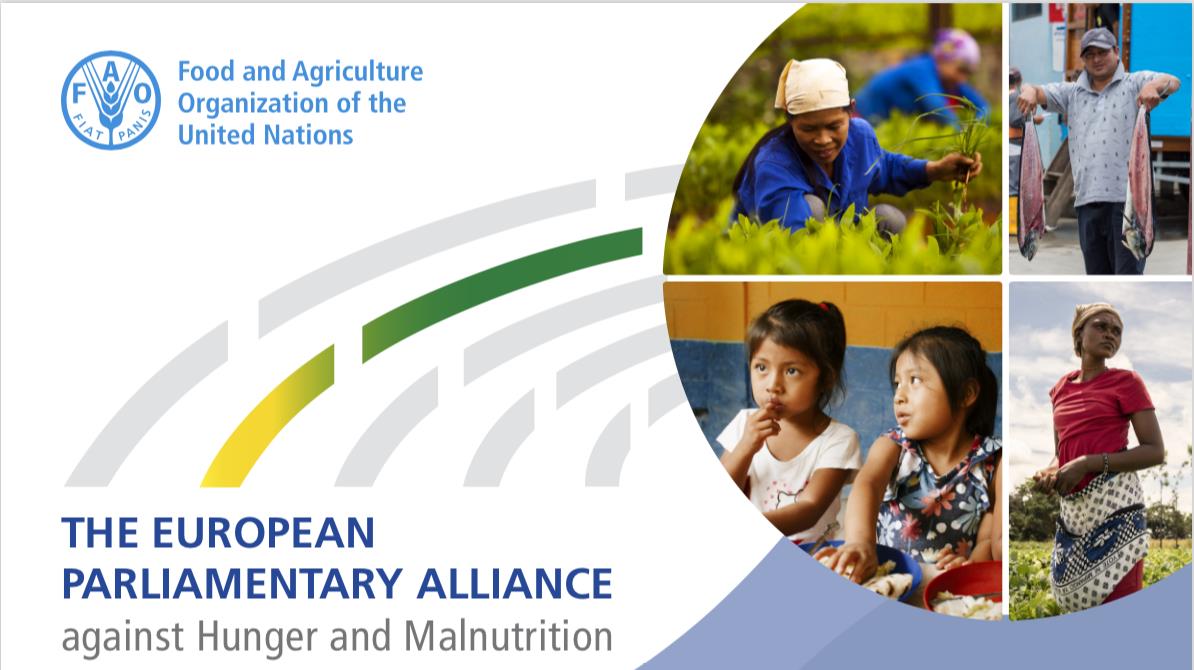 Digital Briefing on Sustainable Food Systems in Times of Global Crises