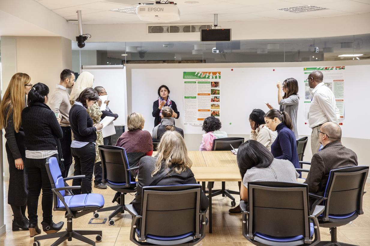 Capacity-building programme on policymaking for agrifood systems transformation