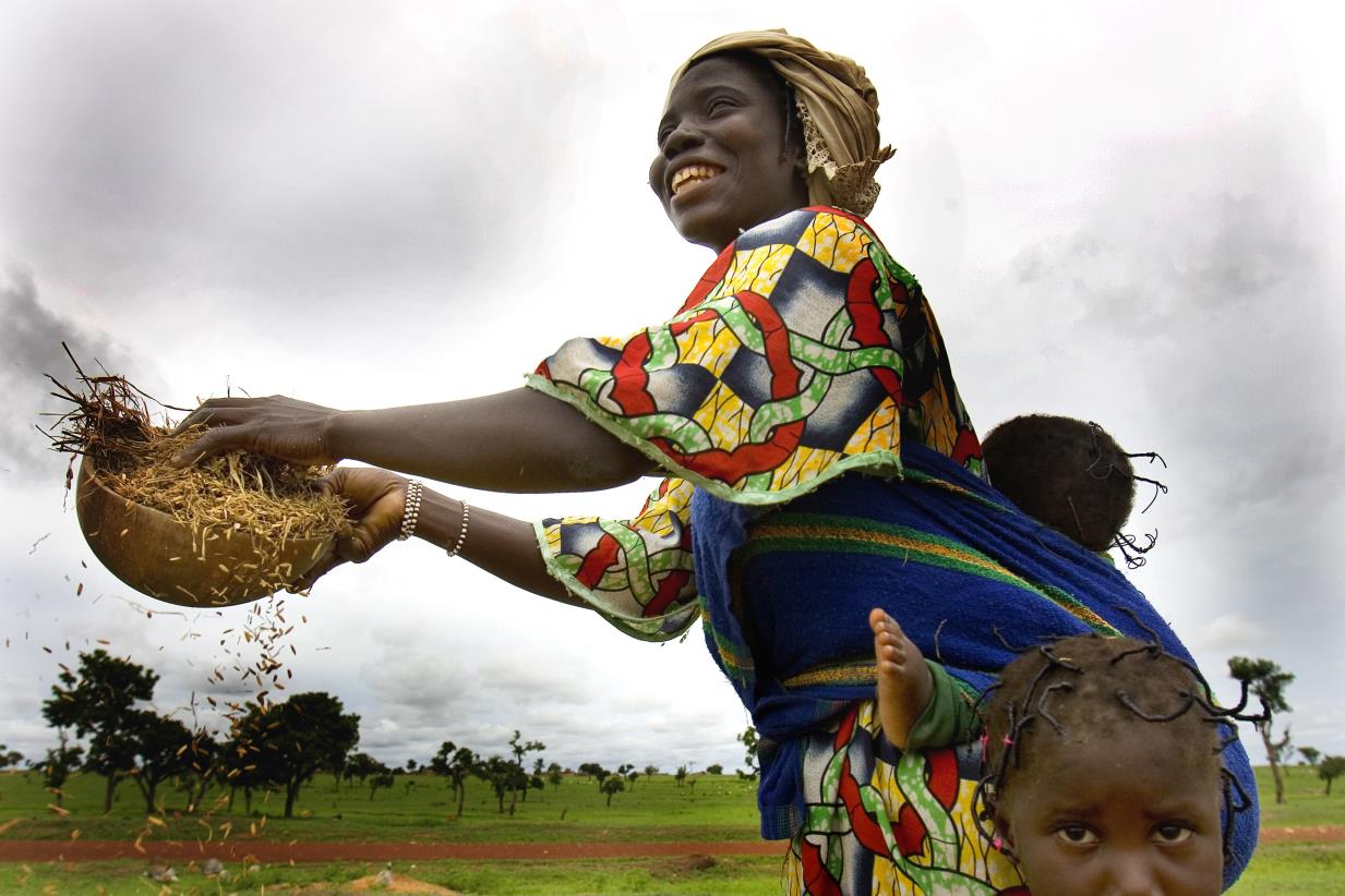 The FAO AgrInvest-Food Systems project and the national union of women parboilers in Burkina Faso