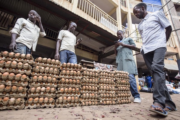 FAO_24924__1479aRwanda