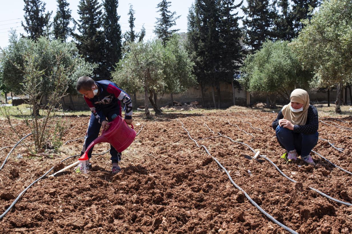 Accelerating agri-food systems transformation for planetary health through the FOLUR Impact Program