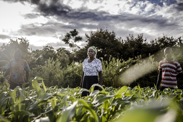 Farmers-in-Taveta-Kenya