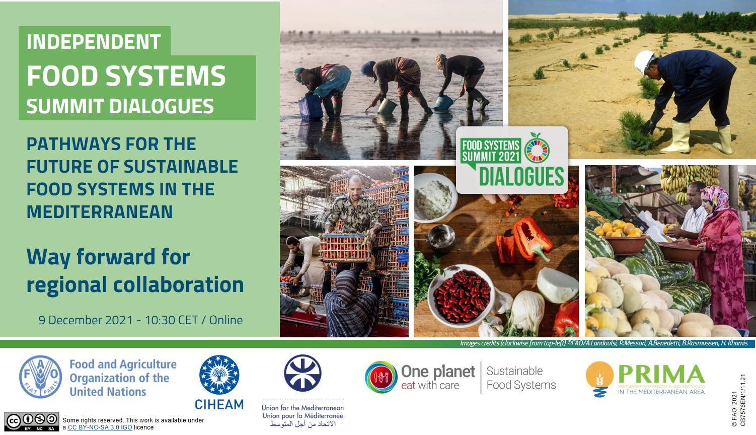 A Mediterranean Dialogue to explore future of Sustainable Food Systems
