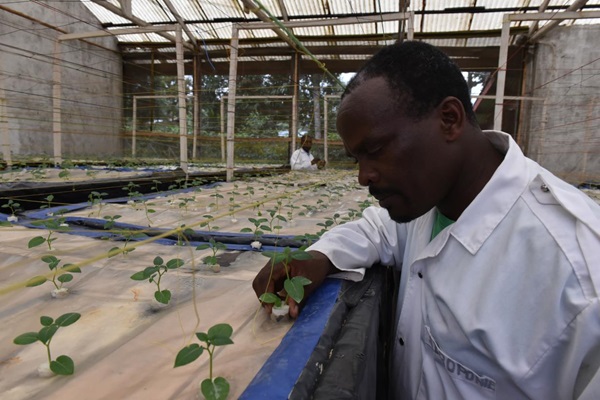 Food security rwanda