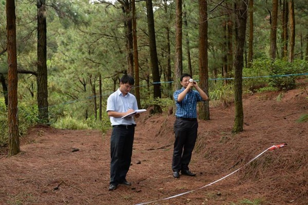 forests-food-systems