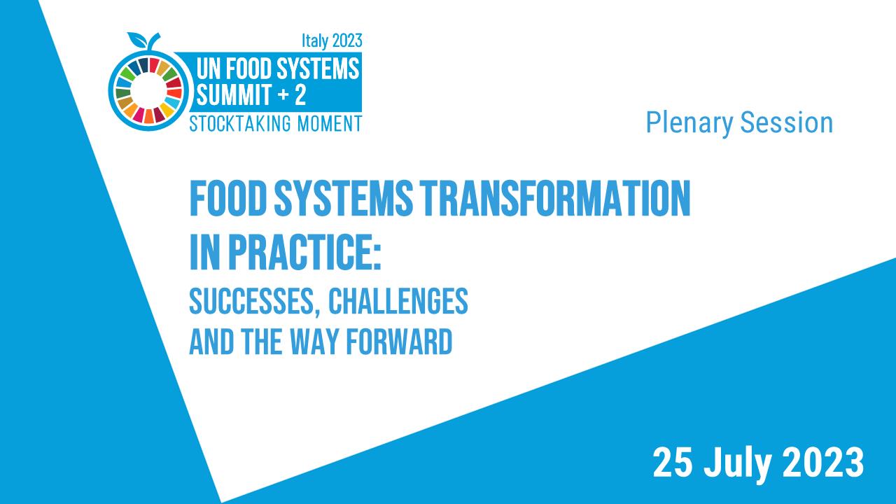 Food Systems Transformation in Practice – Successes, Challenges and the Way Forward