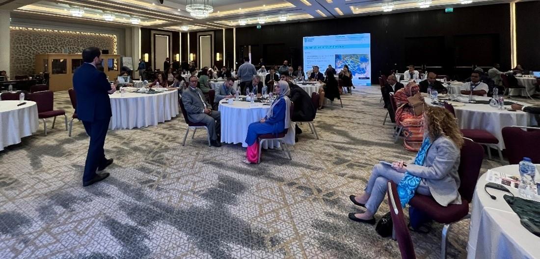 Partnering for action in Mediterranean cities