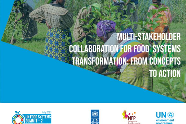 SE Multistakeholder Collaboration