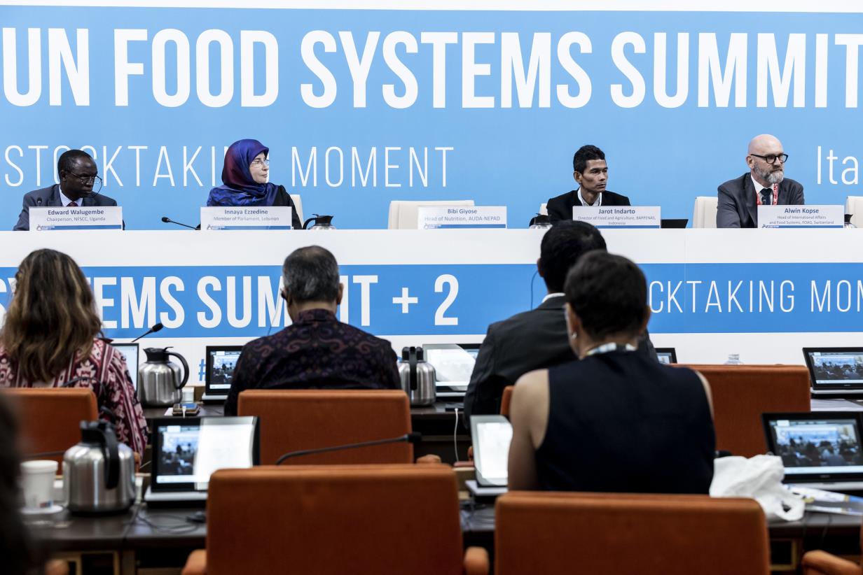 Empowering governance for equitable change in agrifood systems worldwide