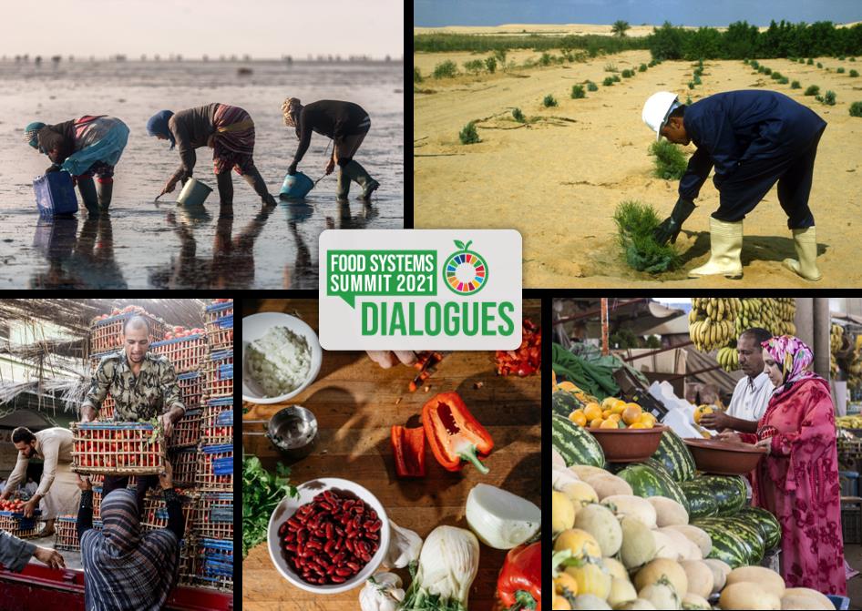 Food Systems Summit: pathways for transformation in the Mediterranean
