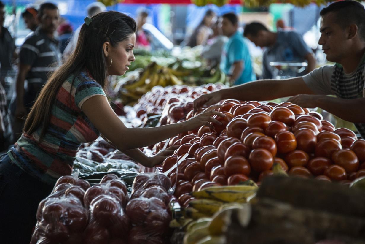 Costa Rica – making strides in policymaking to transform agrifood systems