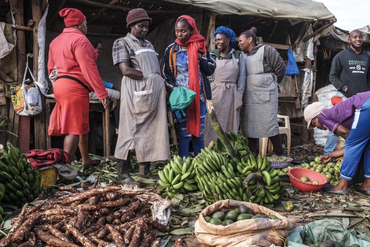 FAO and Rikolto Join Forces to Foster Sustainable Urban Agrifood Systems