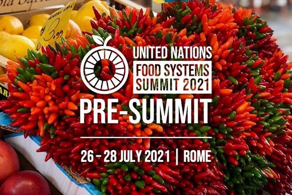 unfss_ps_banner-2_0