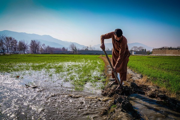 water-and-agriculture