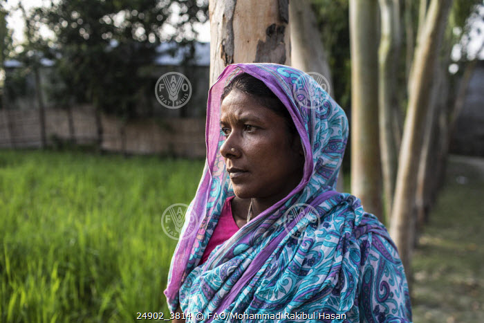 Rapport de la FAO: En 2023, en Asie-Pacifique, des millions de personnes n’ont pu se permettre une alimentation saine – les femmes plus mal loties que les hommes sur ce plan