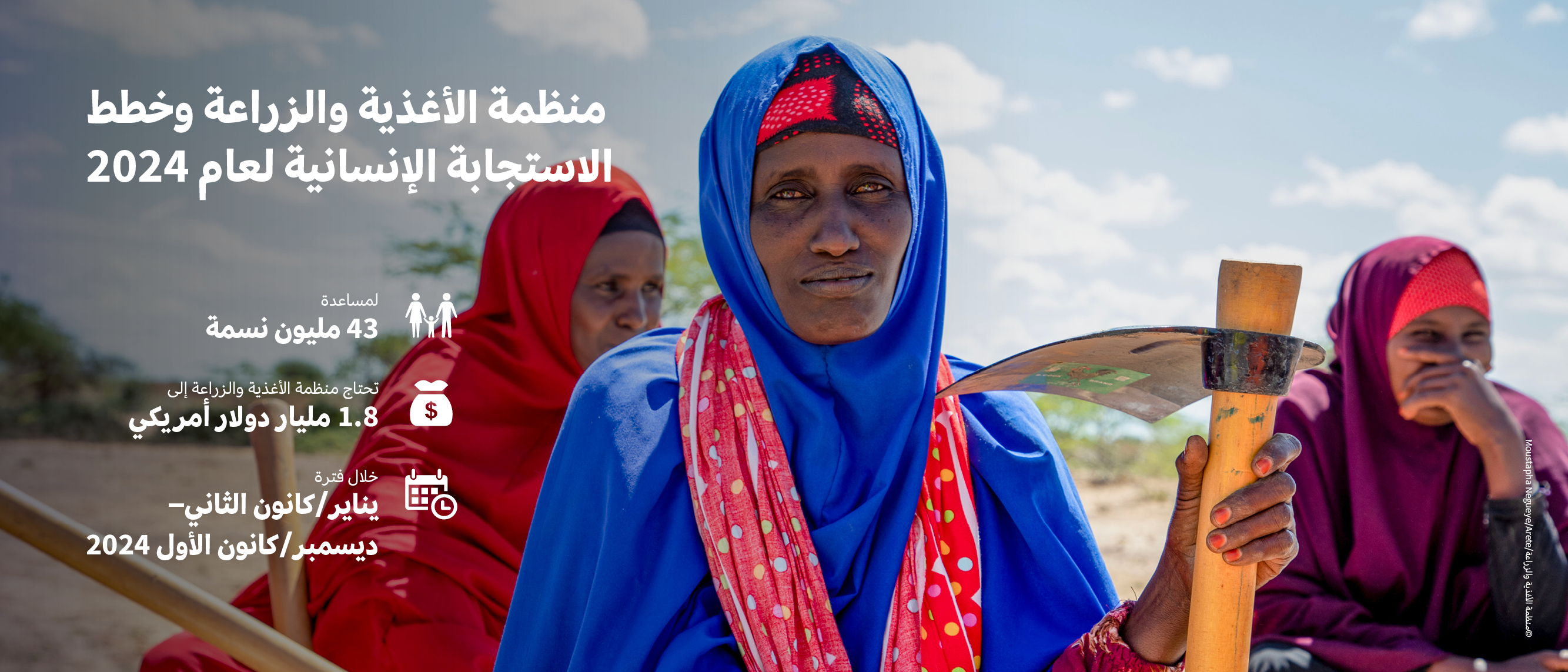©FAO ©FAO