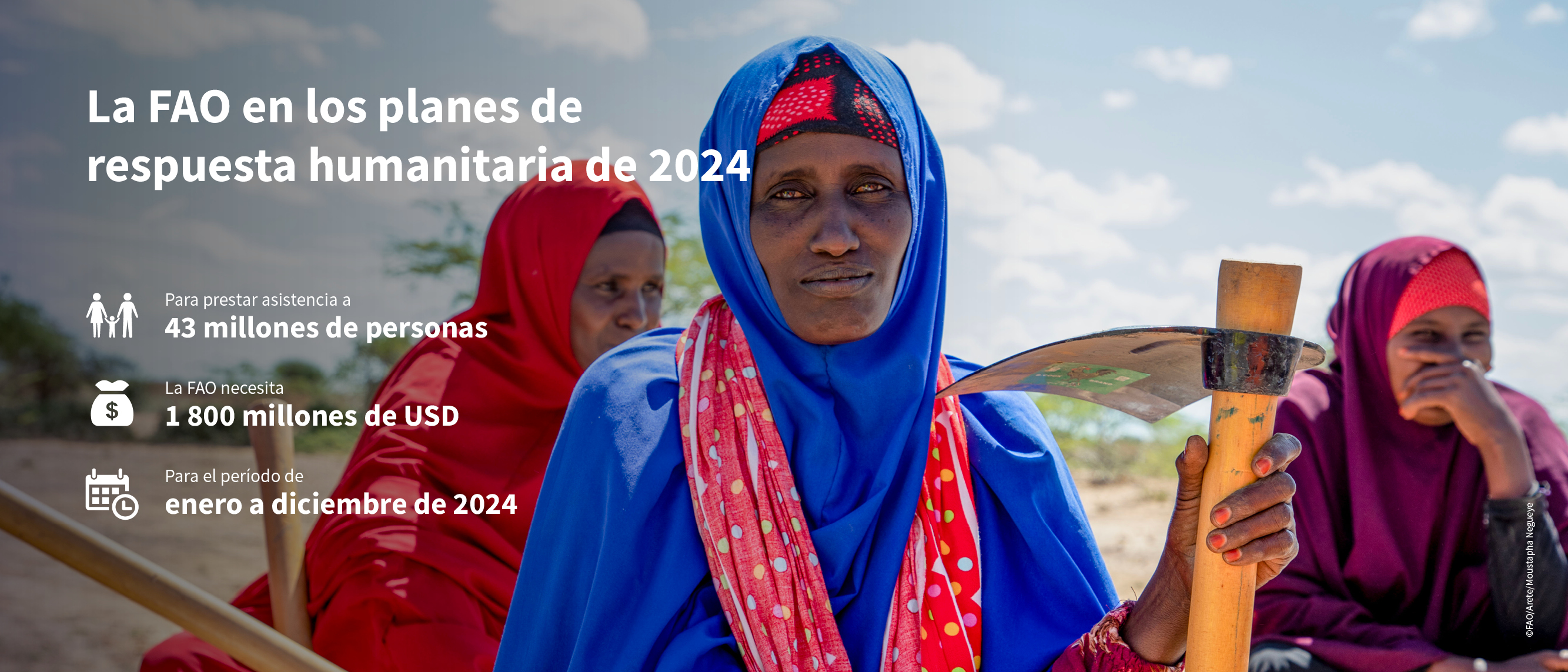 ©FAO ©FAO