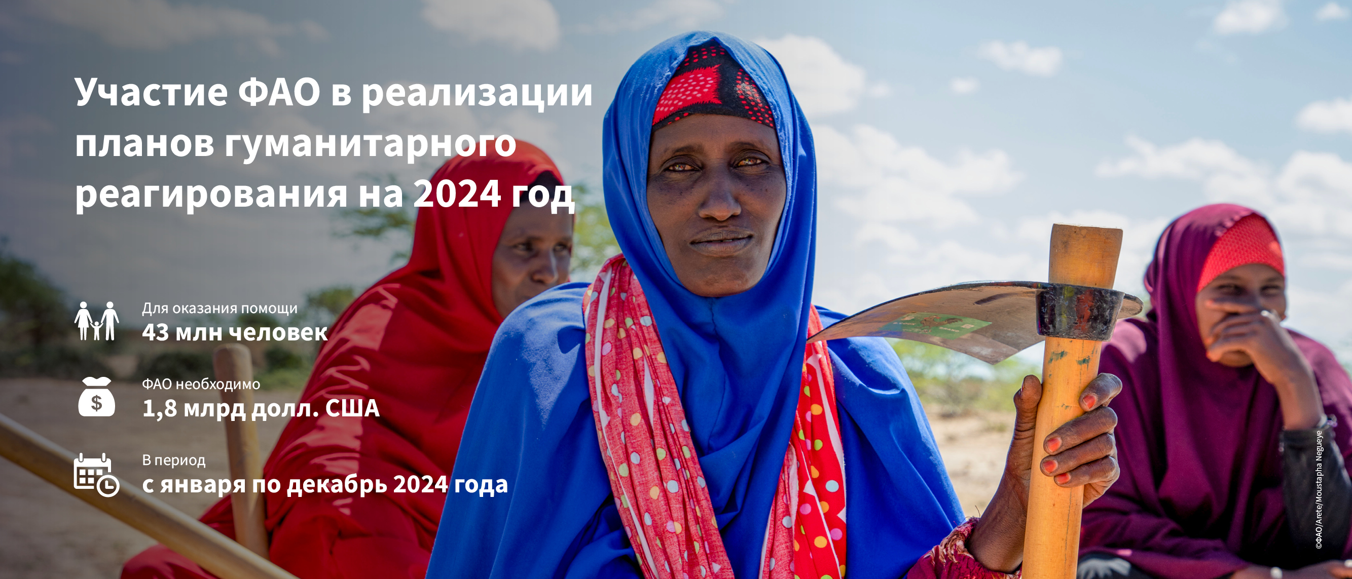 ©FAO ©FAO