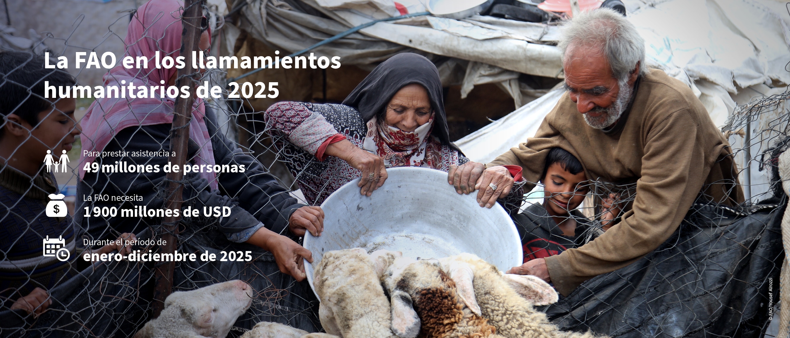 ©FAO