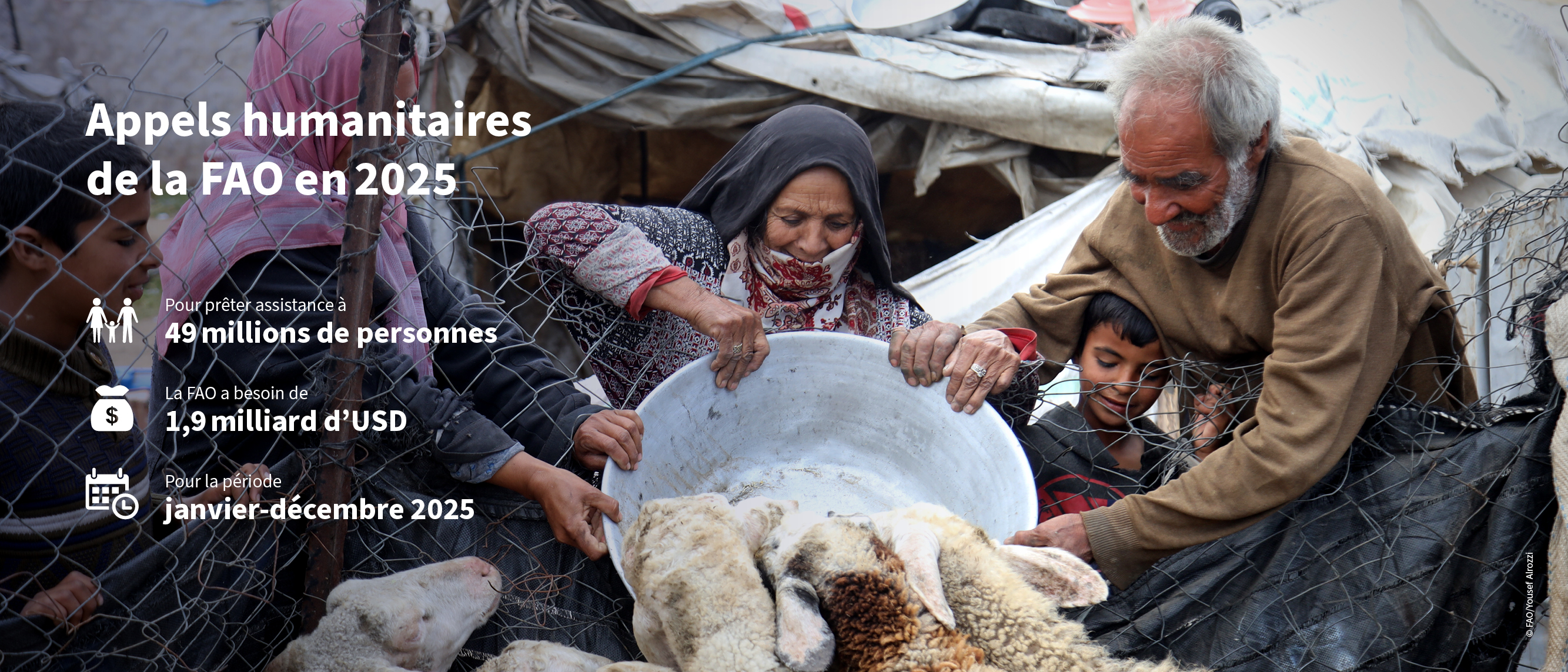 ©FAO ©FAO