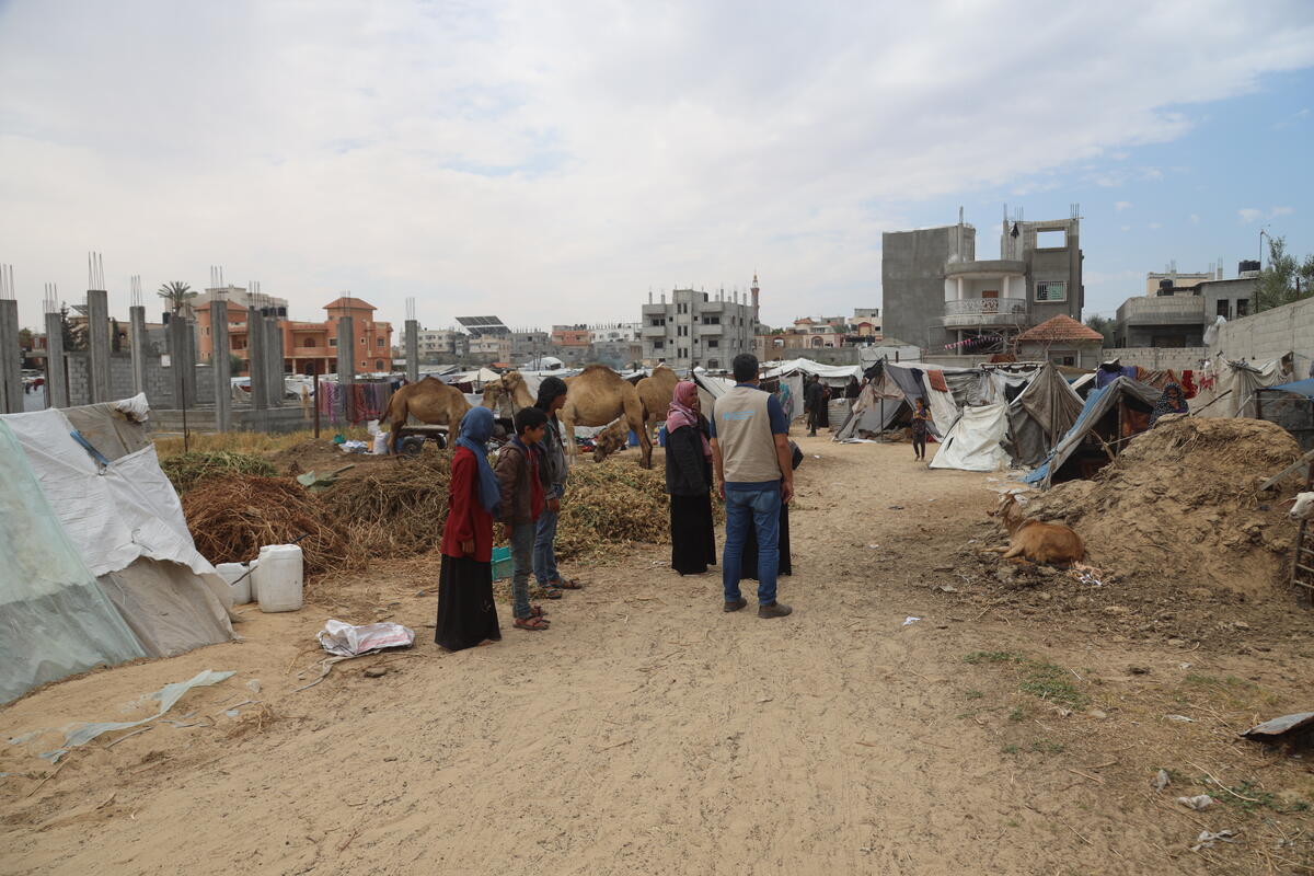 Informe sobre los puntos críticos del hambre: la hambruna se cierne sobre Gaza mientras persiste el riesgo de inanición en Sudán, Haití, Malí y Sudán del Sur