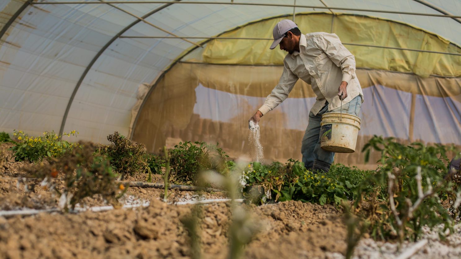 ©FAO/Hasan Belal