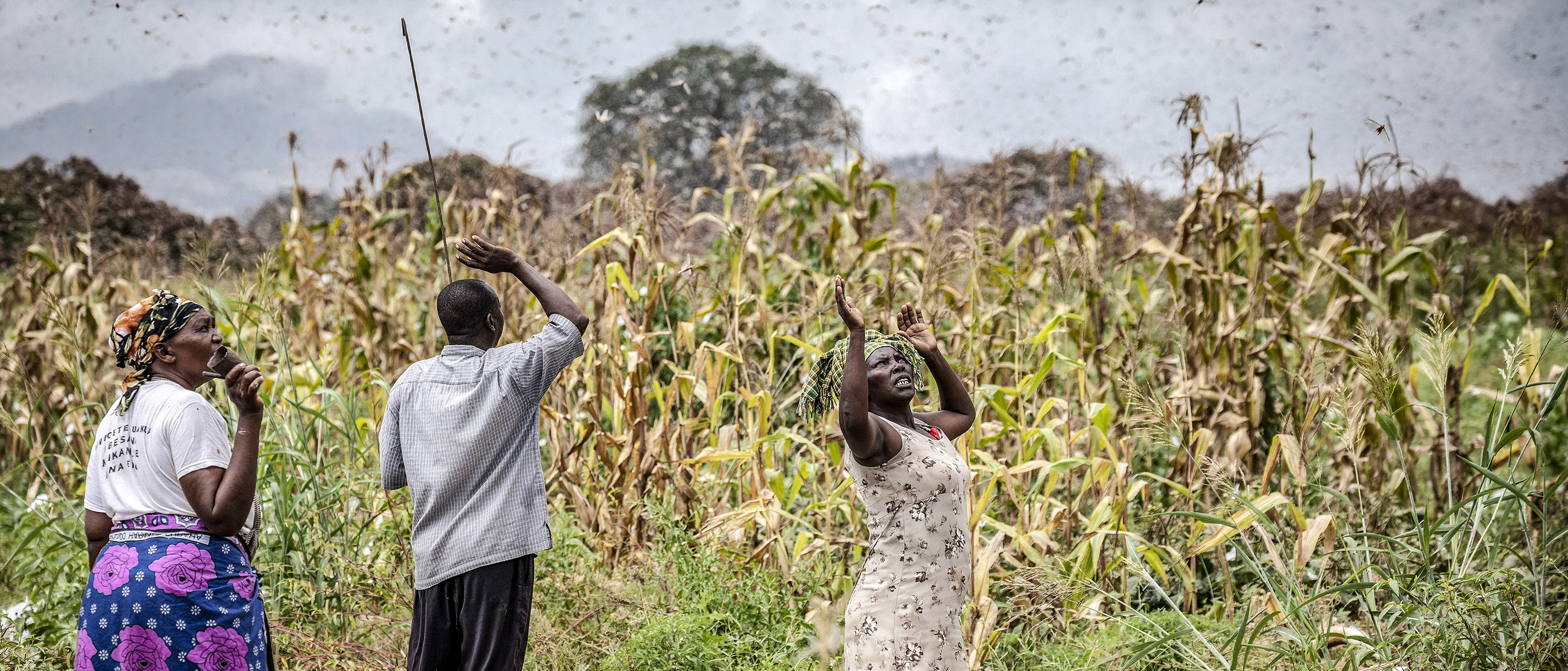 © FAO/Sven Torfinn