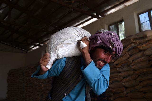Mitigating the potential impacts of dry conditions triggered by La Niña in Afghanistan