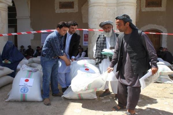 Japan pledges new funding to FAO’s emergency operations in Afghanistan