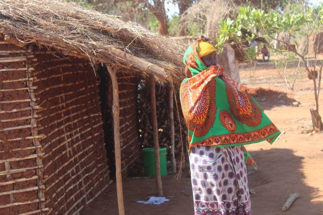 Responding to food insecurity in Mozambique