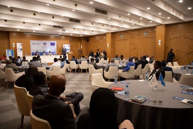 Contributing to fisheries and livestock value chains for inclusive and sustainable growth in Somalia