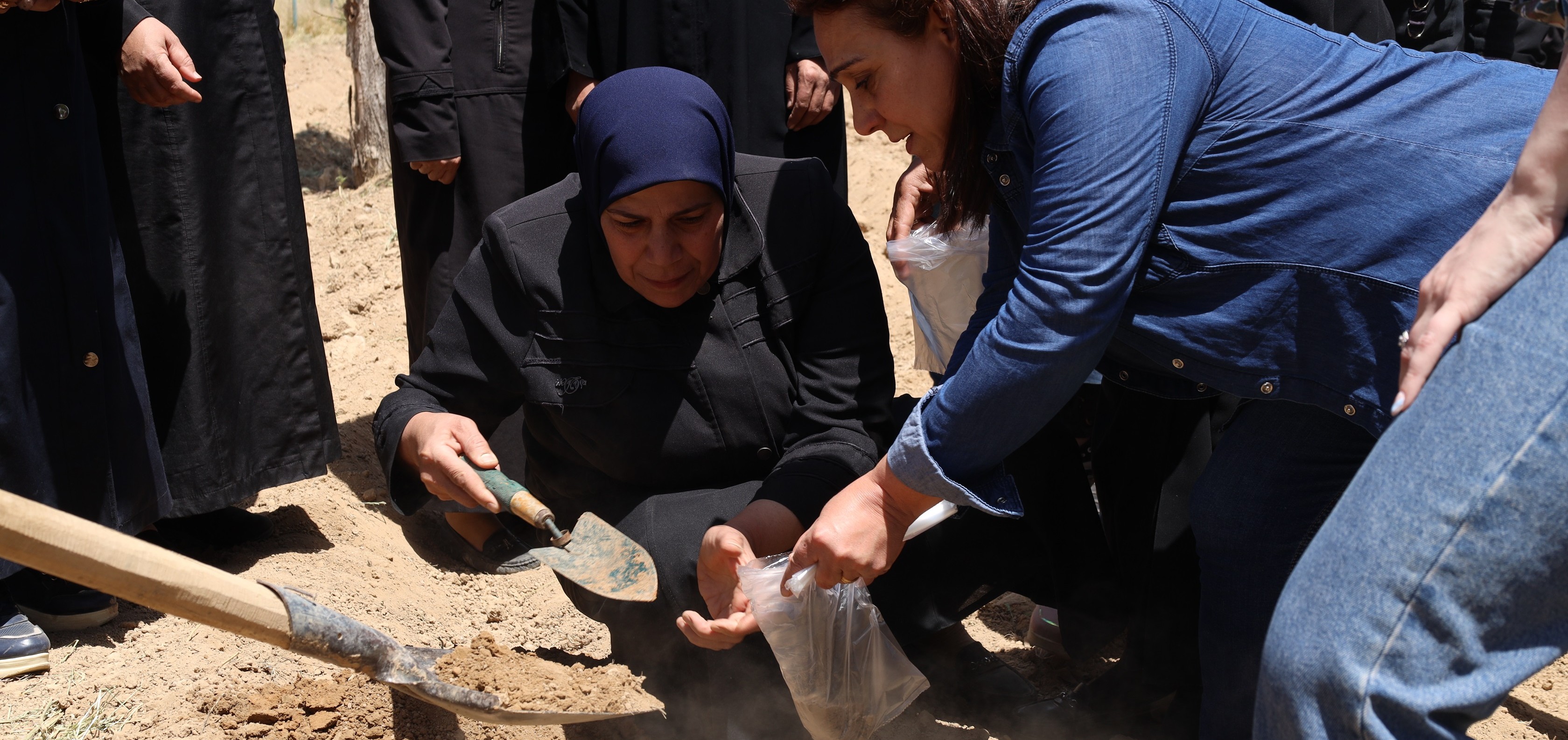 Climate-Resilient farmer field schools revive agriculture in Eastern Ghouta
