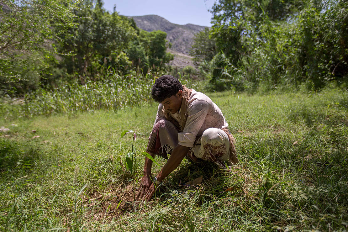 ©FAO/Ahmed Kolib