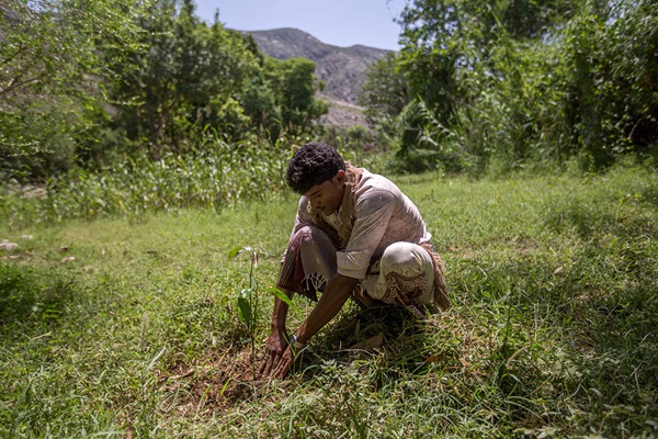 ©FAO/Ahmed Kolib ©FAO/Ahmed Kolib