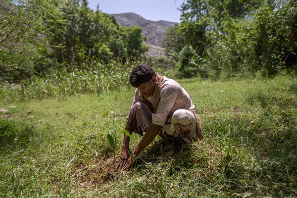 ©FAO/Ahmed Kolib