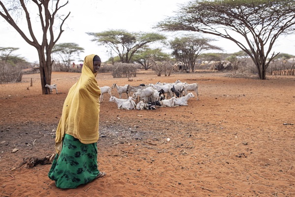 ©FAO/Patrick Meinhardt