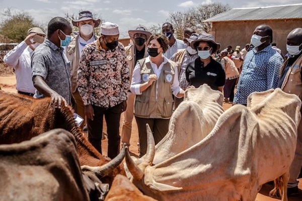 ©FAO/Luis Tato