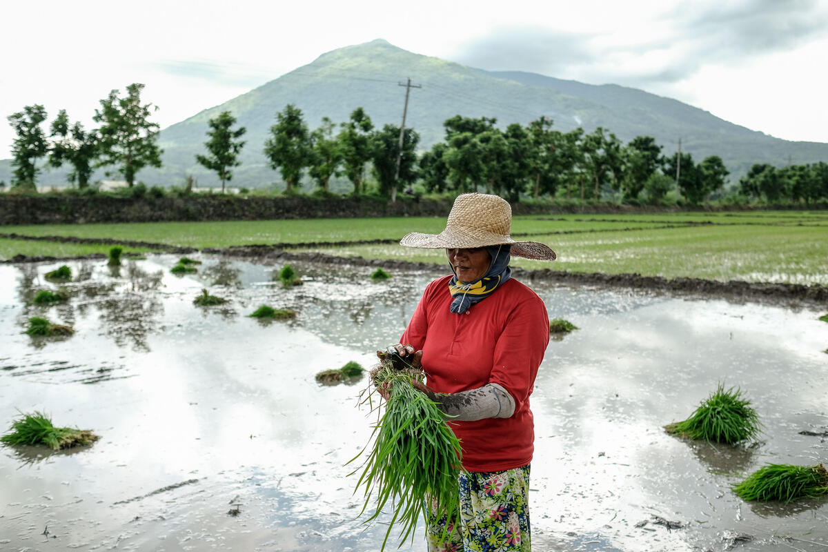 Un nouveau programme de 282 millions d’USD vise à agir en faveur du climat et de l’environnement en intervenant dans le secteur agricole et les systèmes alimentaires