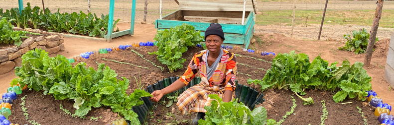 Growing resilience: From home gardens to harvests, farmers in Lesotho rebuild after the floods