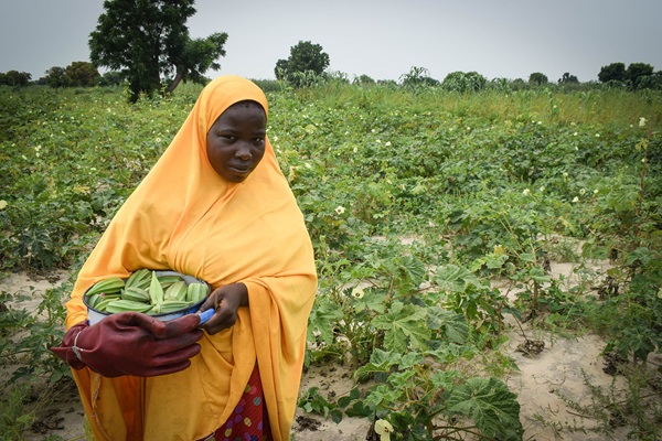 ©FAO_Opeyemi Olagunju
